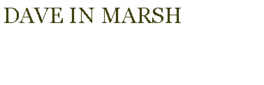 Text Box: Dave in Marsh