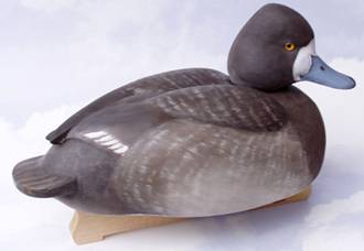 Bluebill Working Duck Decoy